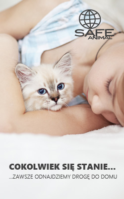 Fundacja Ziemia Obiecana