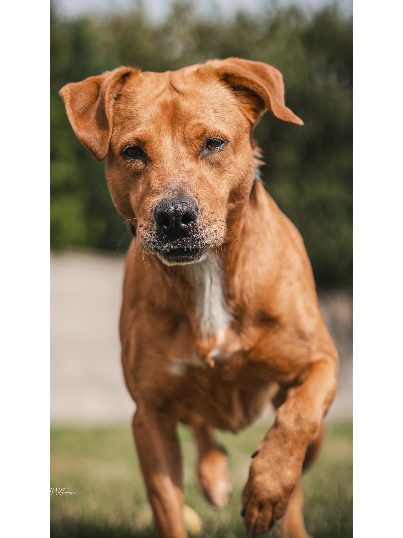 Drugie Urodziny Fundacji