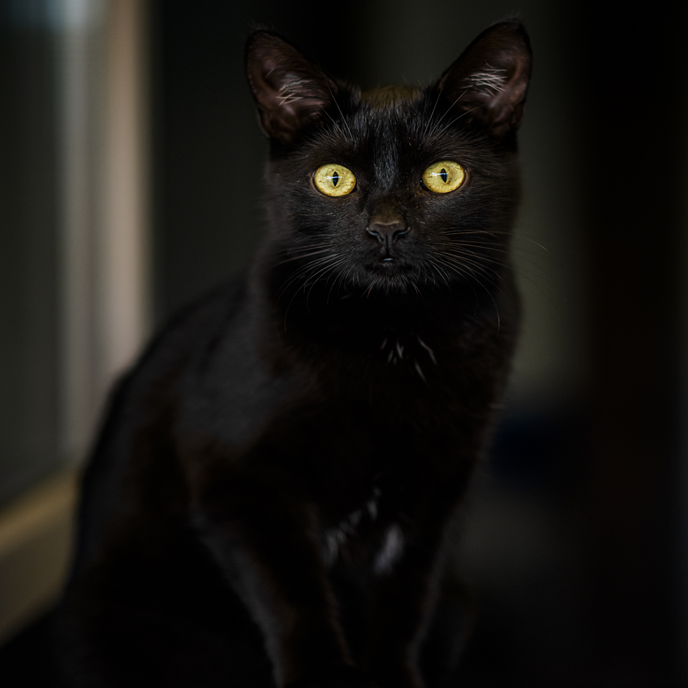 fot. Piotr Kosiński